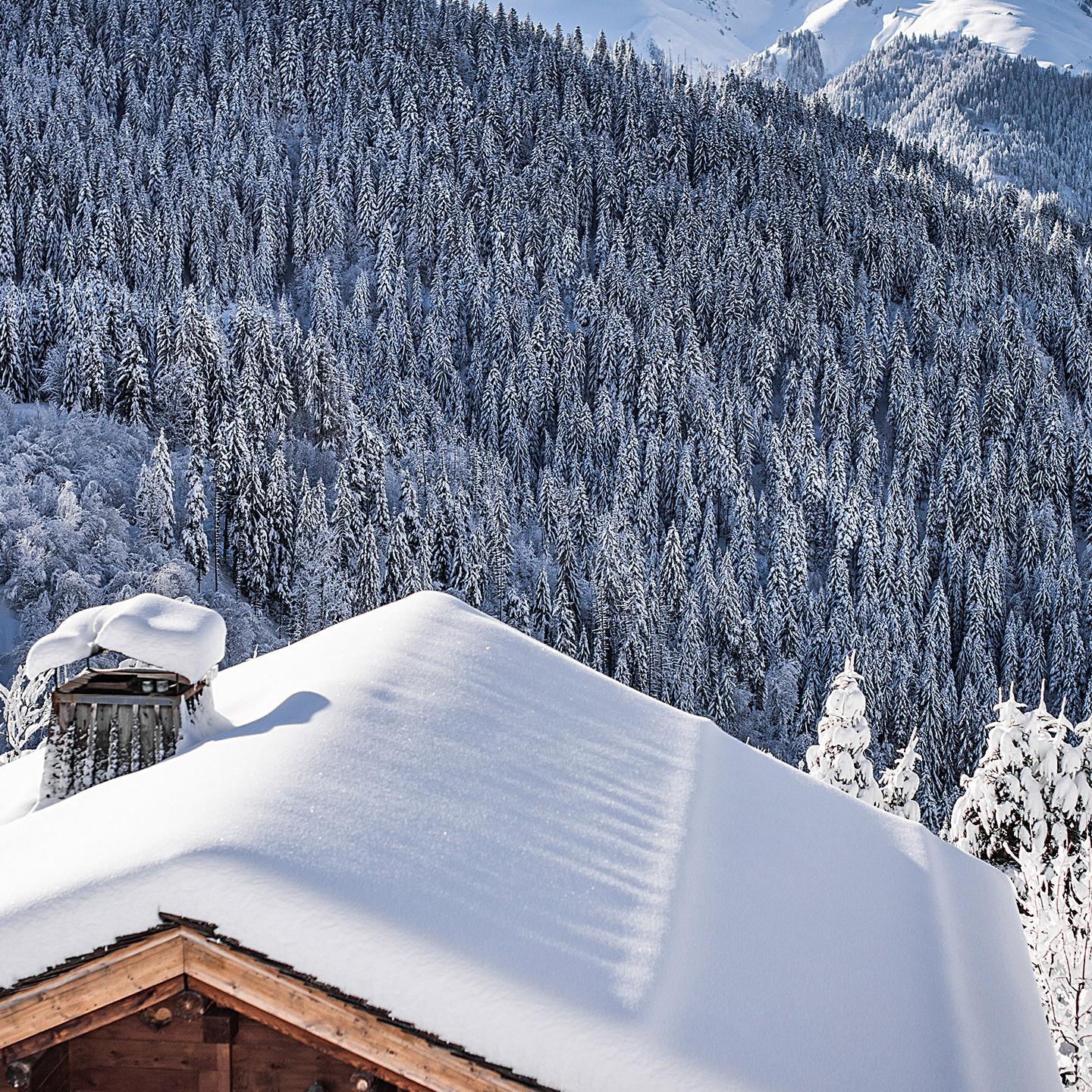 Hiver - Panorama montagne