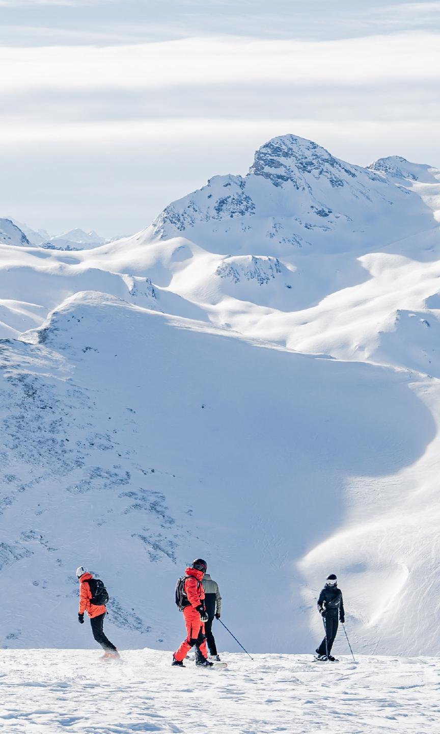 Groupe de skieurs et snowboarders