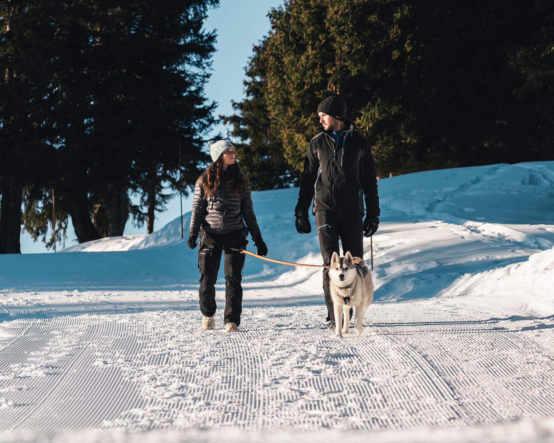 mgm-destination-flaine-carrousel-3-ot-flaine-mathis-decroux.jpg