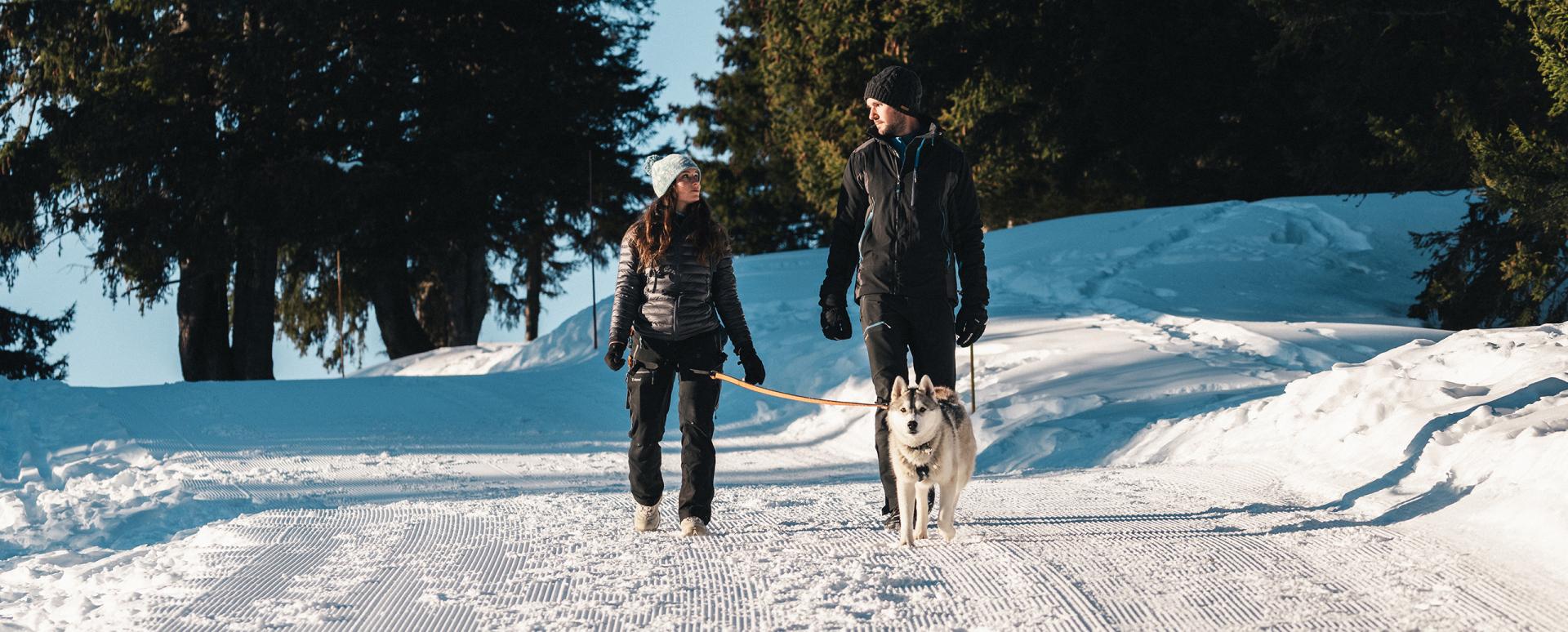 mgm-destination-flaine-carrousel-3-ot-flaine-mathis-decroux.jpg